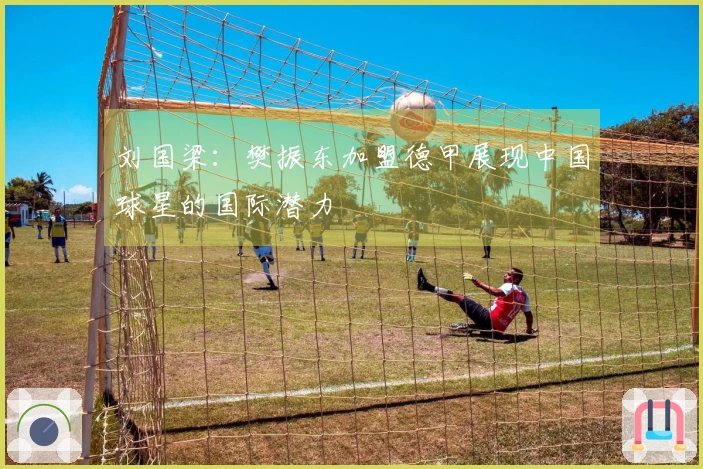 刘国梁：樊振东加盟德甲展现中国球星的国际潜力
