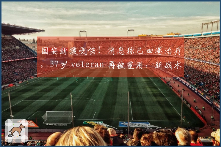 国安新援受伤！消息称已回港治疗，37岁 veteran 再被重用，新战术考验球队