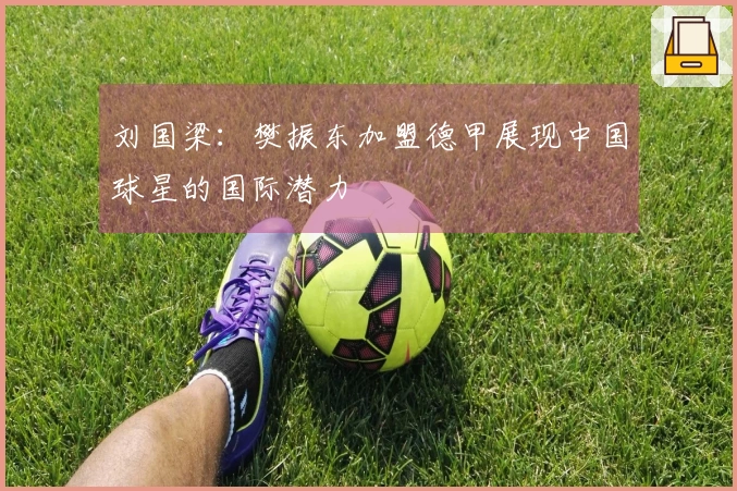 刘国梁：樊振东加盟德甲展现中国球星的国际潜力